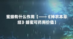 蜜蜂有什么作用【——《神农本草经》蜂蜜可药用价值】