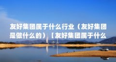 友好集团属于什么行业(友好集团是做什么的)【友好集团属于什么行业】