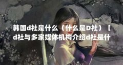 韩国d社是什么(什么是D社)【d社与多家媒体机构介绍d社是什么公司(d社是什