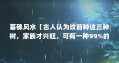 墓碑风水【古人认为坟前种这三种树,家族才兴旺,可有一种99%的人想不到】