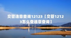 交警违章查询12123【交管12123怎么查违章查询】