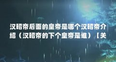 汉昭帝后面的皇帝是哪个汉昭帝介绍（汉昭帝的下个皇帝是谁）【关于汉昭帝之