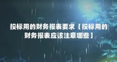 投标用的财务报表要求【投标用的财务报表应该注意哪些】