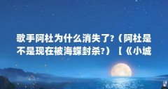 歌手阿杜为什么消失了?（阿杜是不是现在被海蝶封杀?）【《小城故事》原班创