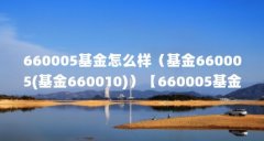 660005基金怎么样（基金660005(基金660010)）【660005基金660005基金660005(660005基金二季
