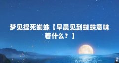 梦见捏死蜘蛛【早晨见到蜘蛛意味着什么？】