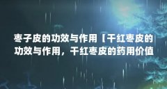 枣子皮的功效与作用【干红枣皮的功效与作用,干红枣皮的药用价值?】
