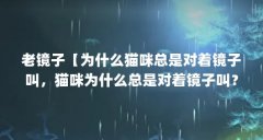 老镜子【为什么猫咪总是对着镜子叫，猫咪为什么总