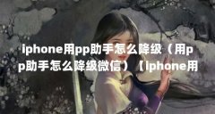 iphone用pp助手怎么降级(用pp助手怎么降级微信)【iphone用pp助手怎么降级微信