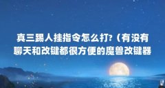 真三踢人挂指令怎么打?(有没有聊天和改键都很方便的魔兽改键器?)【warhel