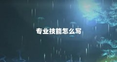 专业技能怎么写