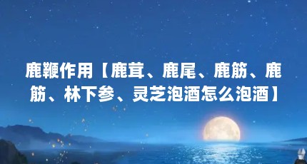 鹿鞭作用【鹿茸、鹿尾、鹿筋、鹿筋、林下参、灵芝泡酒怎么泡酒】