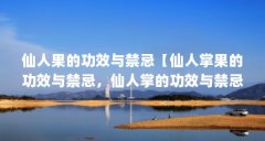 仙人果的功效与禁忌【仙人掌果的功效与禁忌,仙人掌的功效与禁忌】