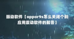振动软件【oppor9s怎么关闭个别应用震动软件的解答】