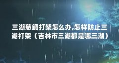三湖慈鲷打架怎么办,怎样防止三湖打架（吉林市三湖都是哪三湖）【三湖慈鲷