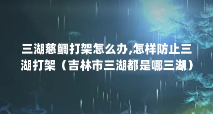 三湖慈鲷打架怎么办,怎样防止三湖打架（吉林市三湖都是哪三湖）【三湖慈鲷打架怎么办，怎样防止三湖打架】