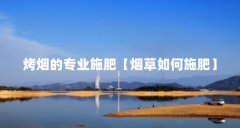 烤烟的专业施肥【烟草如何施肥】