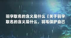 羽字取名的含义是什么【关于羽字取名的含义是什么,羽毛保护自己的含义是什