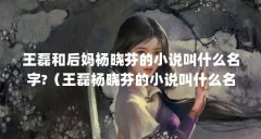 王磊和后妈杨晓芬的小说叫什么名字?（王磊杨晓芬的小说叫什么名字?）【《后