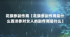 花旗参副作用【花旗参副作用是什么西洋参对女人的副作用是什么】