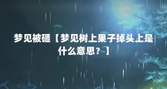 梦见被砸【梦见树上果子掉头上是什么意思?】