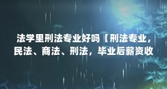 法学里刑法专业好吗【刑法专业,民法、商法、刑法,毕业后薪资收入哪个好】
