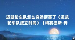 迈凯伦车队怎么突然厉害了(迈凯轮车队成立时间)【梅赛德斯-奔驰和迈凯伦