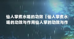 仙人掌煮水喝的功效【仙人掌煮水喝的功效与作用仙人掌的功效与作用有哪些】