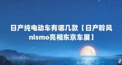 日产纯电动车有哪几款【日产聆风nismo亮相东京车展】
