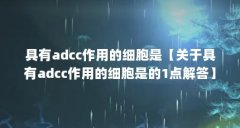 具有adcc作用的细胞是【关于具有adcc作用的细胞是的1点解答】