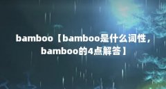 bamboo【bamboo是什么词性,bamboo的4点解答】