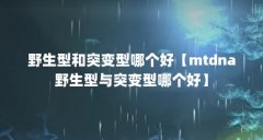 野生型和突变型哪个好【mtdna野生型与突变型哪个好】
