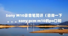 Sony M10录音笔简评（咨询一下。。。sony pcm m10的po口和lo口是一个口???）【sonym