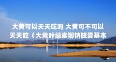 大黄可以天天吃吗 大黄可不可以天天吃(大黄叶绿素铜钠胶囊基本介绍)【大