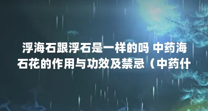 浮海石跟浮石是一样的吗 中药海石花的作用与功效及禁忌（中药什么时间吃最好?）【下列药物与下列药物的禁忌】