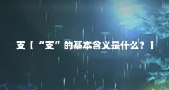 支【“支”的基本含义是什么?】