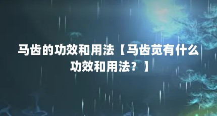 马齿的功效和用法【马齿苋有什么功效和用法？】