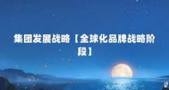 集团发展战略【全球化品牌战略阶段】