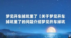 梦见开车掉坑里了【关于梦见开车掉坑里了的问题介绍梦见开车掉坑里了的解答