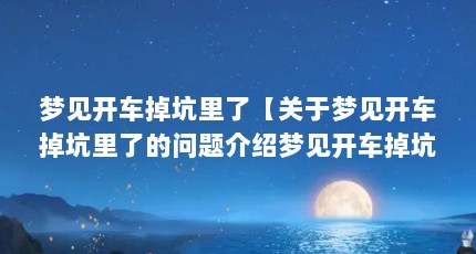 梦见开车掉坑里了【关于梦见开车掉坑里了的问题介绍梦见开车掉坑里了的解答】