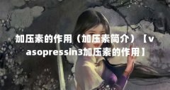 加压素的作用(加压素简介)【vasopressin3加压素的作用】