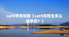 catti学历核查【catti在校生怎么填学历?】