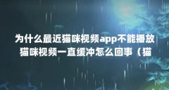 为什么最近猫咪视频app不能播放 猫咪视频一直缓冲怎么回事(猫咪玩的游戏)