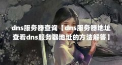 dns服务器查询【dns服务器地址查看d