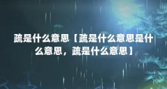 疏是什么意思【疏是什么意思是什么意思,疏是什么意思】