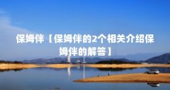 保姆伴【保姆伴的2个相关介绍保姆伴的解答】