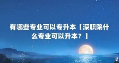 有哪些专业可以专升本【深职院什么专业可以升本?】