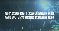 哪个皮肤科好【北京哪家医院看皮肤科好,北京哪家医院看皮肤科好的解答】