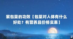 紫包菜的功效【包菜对人体有什么好处?有营养且价格实惠】