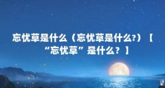 忘忧草是什么（忘忧草是什么?）【“忘忧草”是什么？】